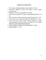 Referāts 'Noziedzības statistika Latvijā laika periodā no 2002.-2006.gadam', 25.