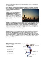 Konspekts 'Fiziskā aktivitāte. Volejbols', 3.