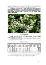 Referāts 'Graudkopības nozares analīze z/s "Liepas"', 15.