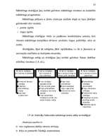 Referāts 'Jauna produkta ieviešana', 14.