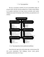 Referāts 'Jauna produkta ieviešana', 22.