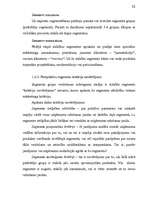 Referāts 'Jauna produkta ieviešana', 32.