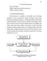 Referāts 'Jauna produkta ieviešana', 43.