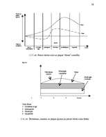 Referāts 'Jauna produkta ieviešana', 58.