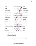 Referāts 'Jauna produkta ieviešana', 65.