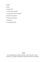 Eseja 'Tiesiska valsts', 2.