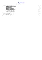 Referāts 'Indijas viduslaiku māksla un arhitektūra', 2.