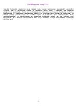 Referāts 'Indijas viduslaiku māksla un arhitektūra', 9.