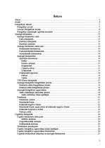 Referāts 'Analogais un digitālais foto', 2.