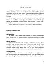 Referāts 'Analogais un digitālais foto', 13.