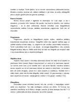 Referāts 'Analogais un digitālais foto', 15.