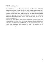 Referāts 'Analogais un digitālais foto', 17.