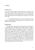 Referāts 'Analogais un digitālais foto', 21.