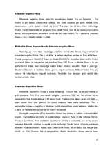 Referāts 'Analogais un digitālais foto', 22.