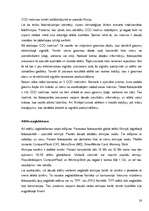 Referāts 'Analogais un digitālais foto', 28.