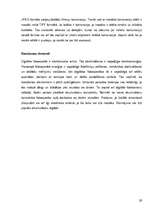 Referāts 'Analogais un digitālais foto', 29.