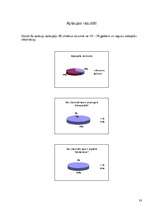 Referāts 'Analogais un digitālais foto', 33.