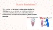 Prezentācija 'Feminisms 19. un 20.gadsimtā', 2.