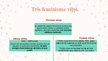 Prezentācija 'Feminisms 19. un 20.gadsimtā', 4.