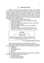 Referāts 'Uzņēmuma vadīšanas organizatoriskā struktūra', 5.