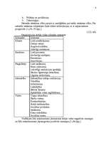 Referāts 'Uzņēmuma vadīšanas organizatoriskā struktūra', 6.