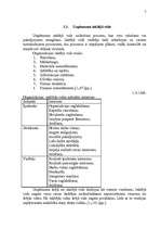 Referāts 'Uzņēmuma vadīšanas organizatoriskā struktūra', 7.