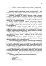 Referāts 'Uzņēmuma vadīšanas organizatoriskā struktūra', 10.