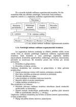 Referāts 'Uzņēmuma vadīšanas organizatoriskā struktūra', 13.