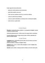 Konspekts 'Banku darbības stratēģiska vadīšana', 11.