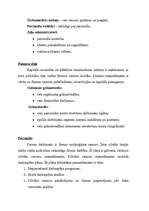 Referāts 'Skaistumkopšanas salons “Kleopatra“', 13.