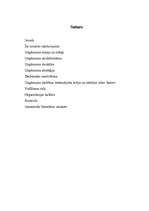 Referāts 'Skaistumkopšanas salons “Kleopatra“', 23.