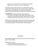 Referāts 'Pašvaldību budžeti', 4.