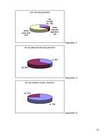 Referāts 'Grāmatu nozīme jauniešu dzīvē', 22.