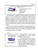 Referāts 'Maldinoša un salīdzinoša reklāma', 9.