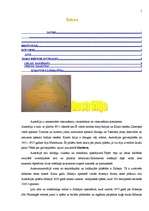 Referāts 'Austrālija', 1.