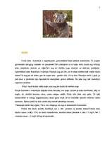 Referāts 'Austrālija', 7.