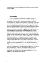 Referāts 'Privātmāju apkures veidi un iespējas Latvijā', 5.