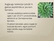 Prezentācija 'Selekcijas darbs Latvijā', 4.