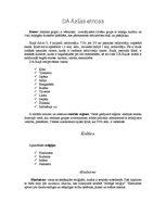 Referāts 'Āzijas etnoss', 1.