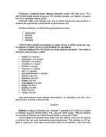 Referāts 'Āzijas etnoss', 2.