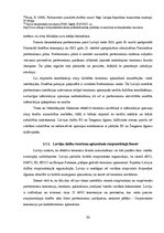 Referāts 'Terorisms', 20.