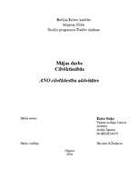 Referāts 'ANO cilvēktiesību aktivitātes', 1.