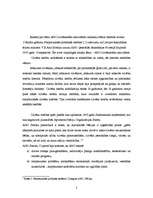 Referāts 'ANO cilvēktiesību aktivitātes', 2.