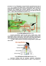 Konspekts 'Dioksīni un polihlorbifenili pienā', 13.