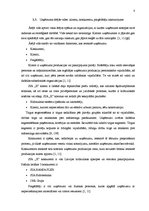 Prakses atskaite 'Prakses atskaite grāmatvedībā', 8.