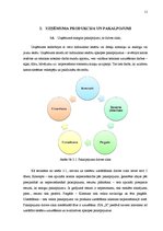 Prakses atskaite 'Prakses atskaite grāmatvedībā', 11.