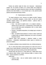 Prakses atskaite 'Prakses atskaite grāmatvedībā', 12.