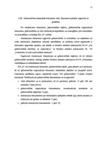 Prakses atskaite 'Prakses atskaite grāmatvedībā', 17.