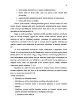 Prakses atskaite 'Prakses atskaite grāmatvedībā', 19.