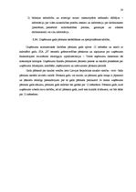 Prakses atskaite 'Prakses atskaite grāmatvedībā', 20.